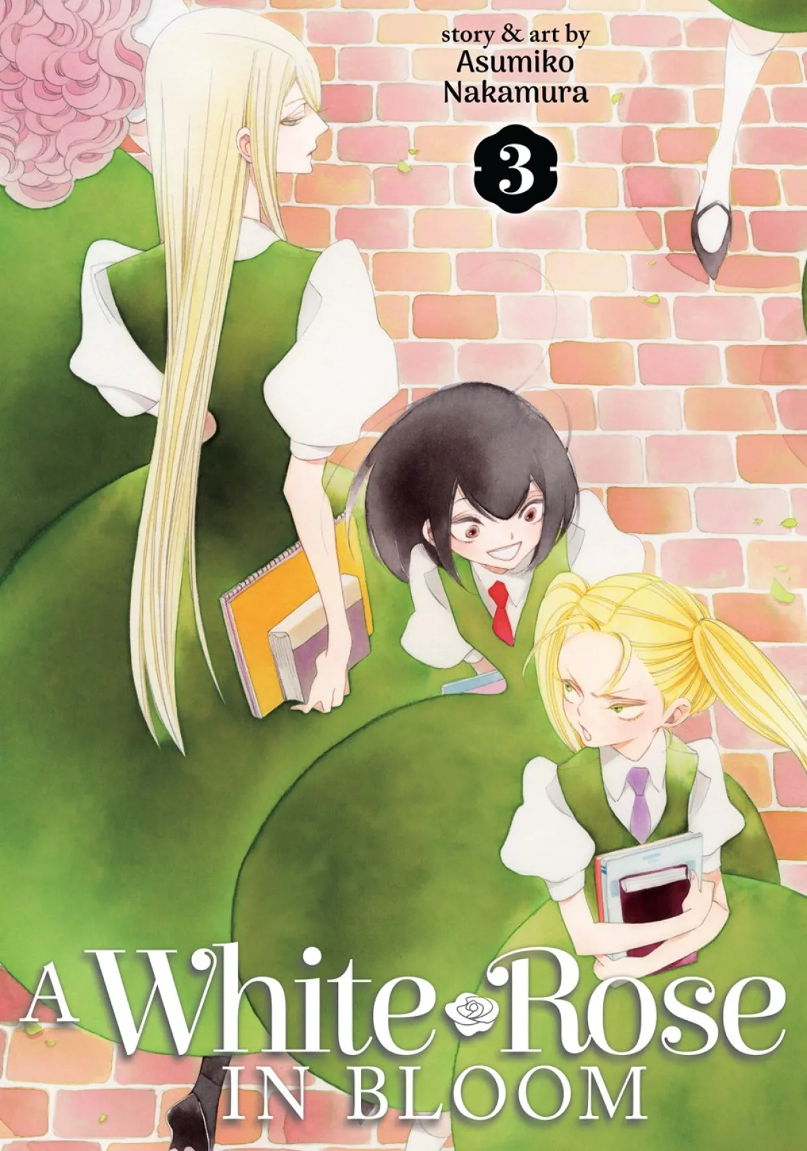 A White Rose in Bloom Manga Volume 3