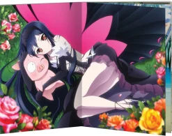 Accel World - Set 1 - Blu-ray