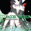 Accel World Novel Volume 4
