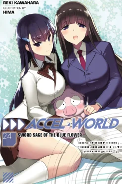 Accel World Novel Volume 24
