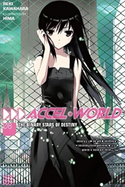 Accel World Novel Volume 8