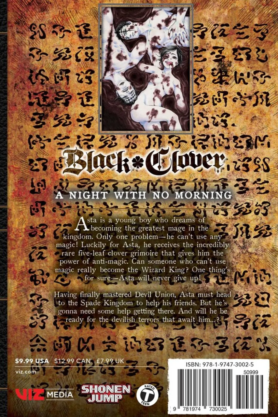 Black Clover Manga Volume 29