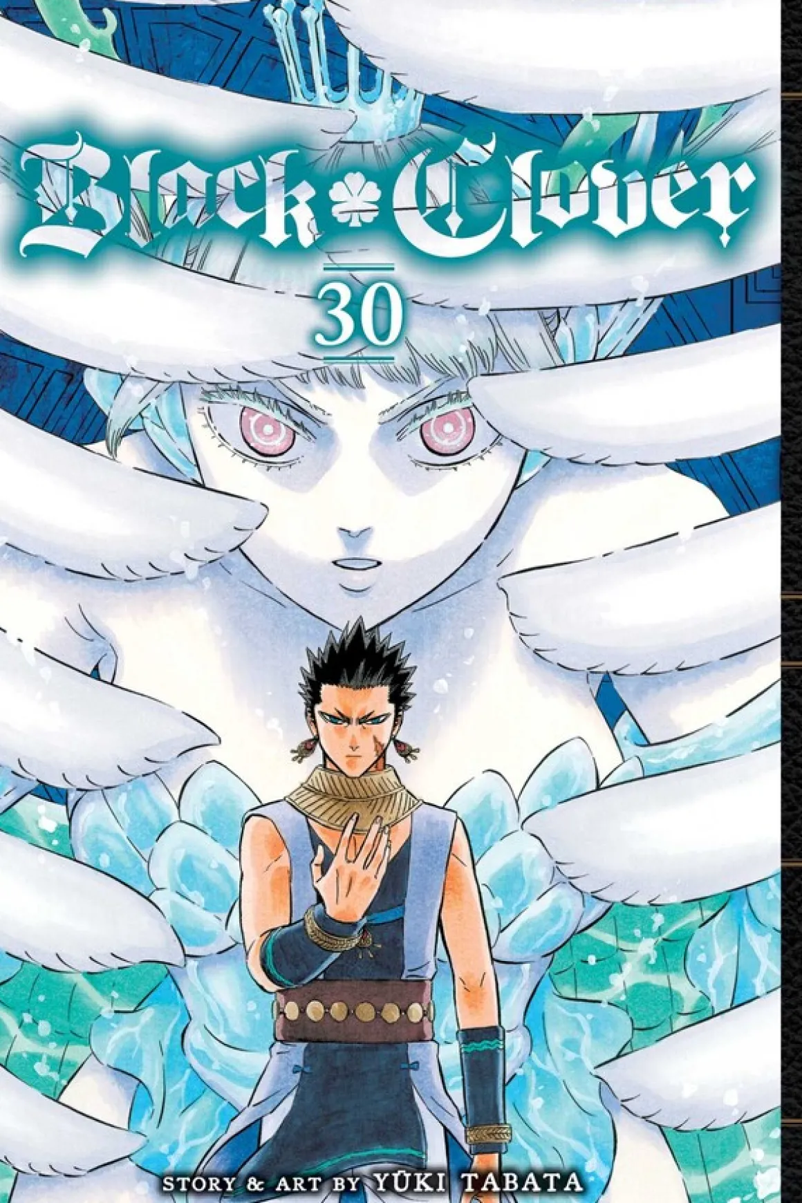 Black Clover Manga Volume 30