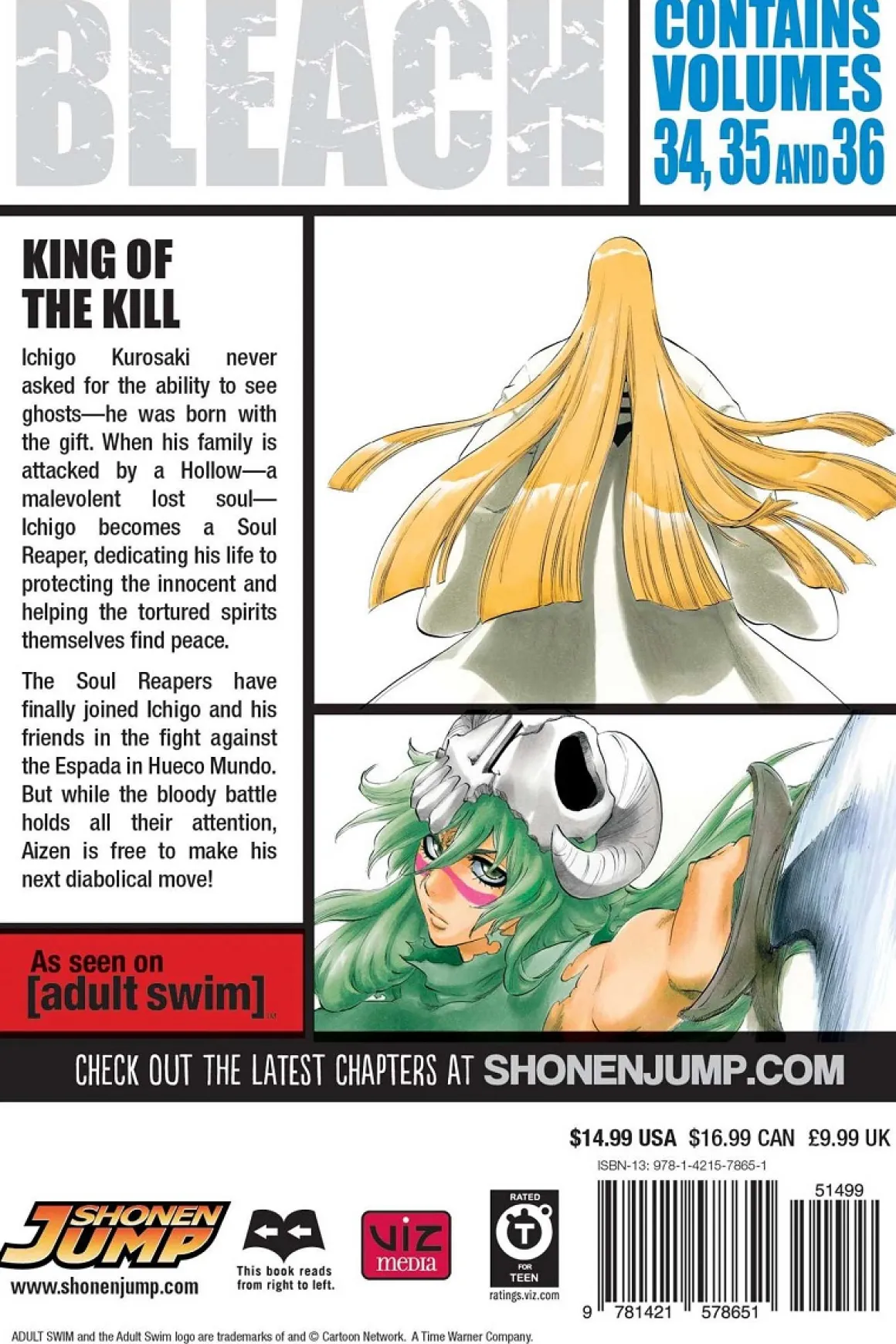 BLEACH 3-in-1 Edition Manga Volume 12