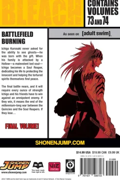 BLEACH 2-in-1 Edition Manga Volume 25