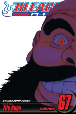 BLEACH Manga Volume 67