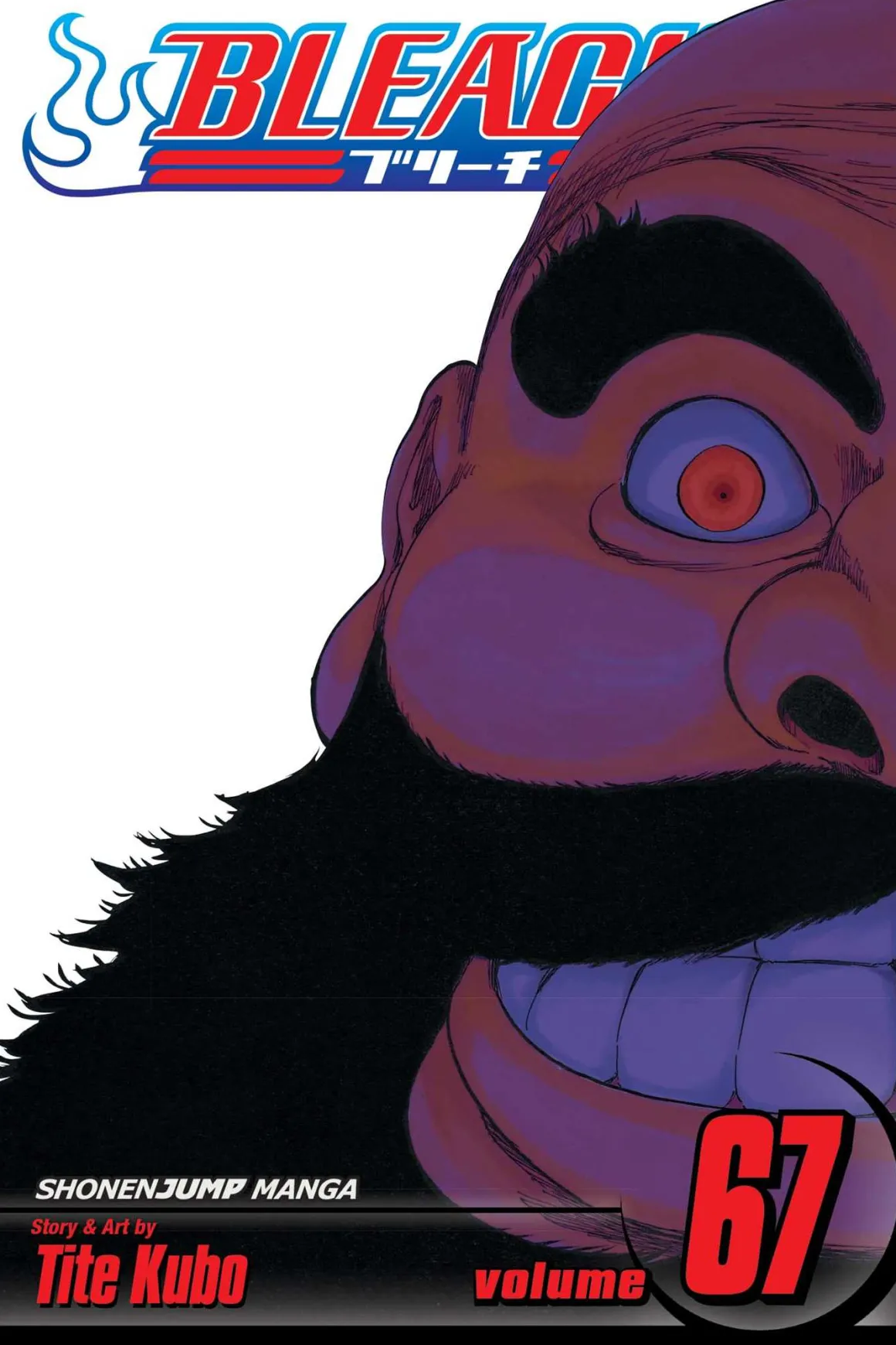 BLEACH Manga Volume 67