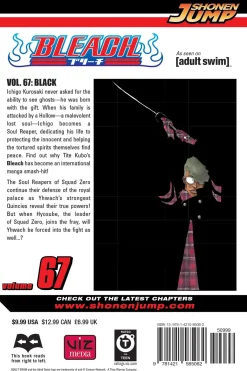 BLEACH Manga Volume 67