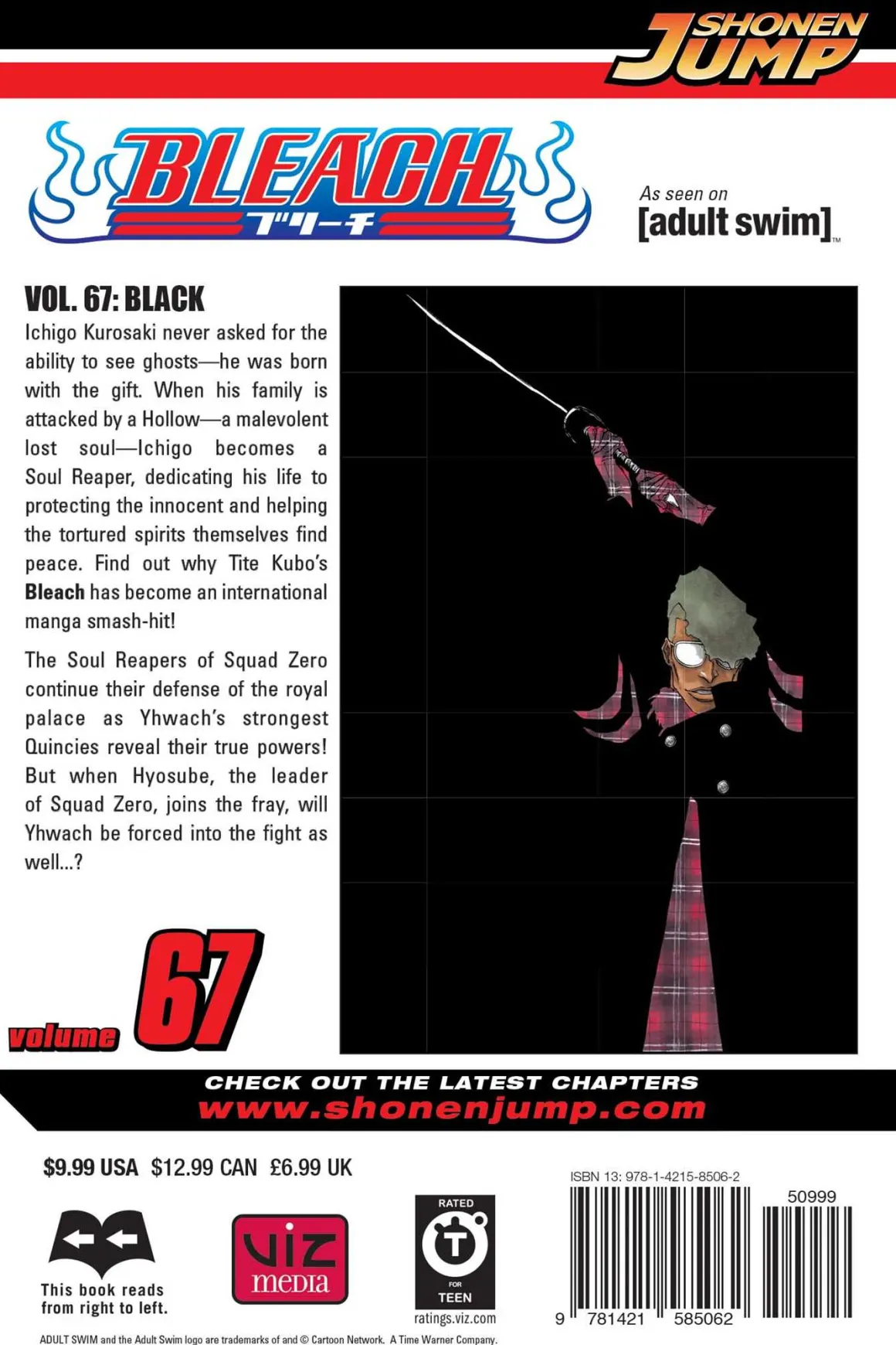 BLEACH Manga Volume 67