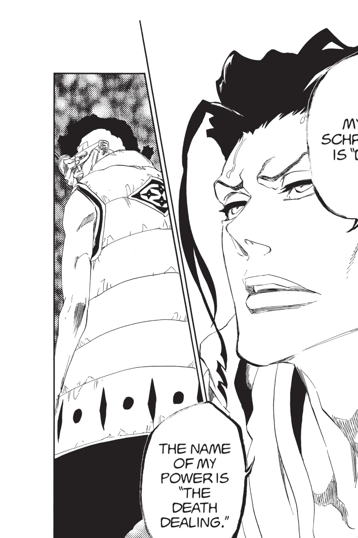 BLEACH Manga Volume 67