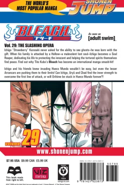 BLEACH Manga Volume 29
