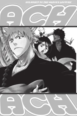 BLEACH Manga Volume 29