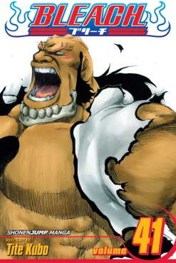 BLEACH Manga Volume 41