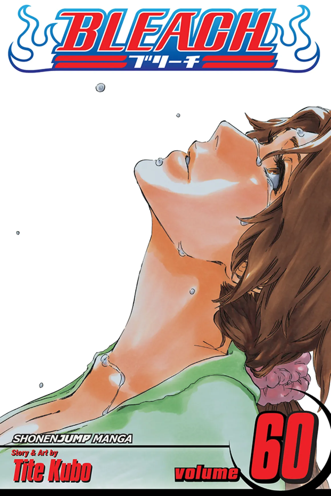 BLEACH Manga Volume 60