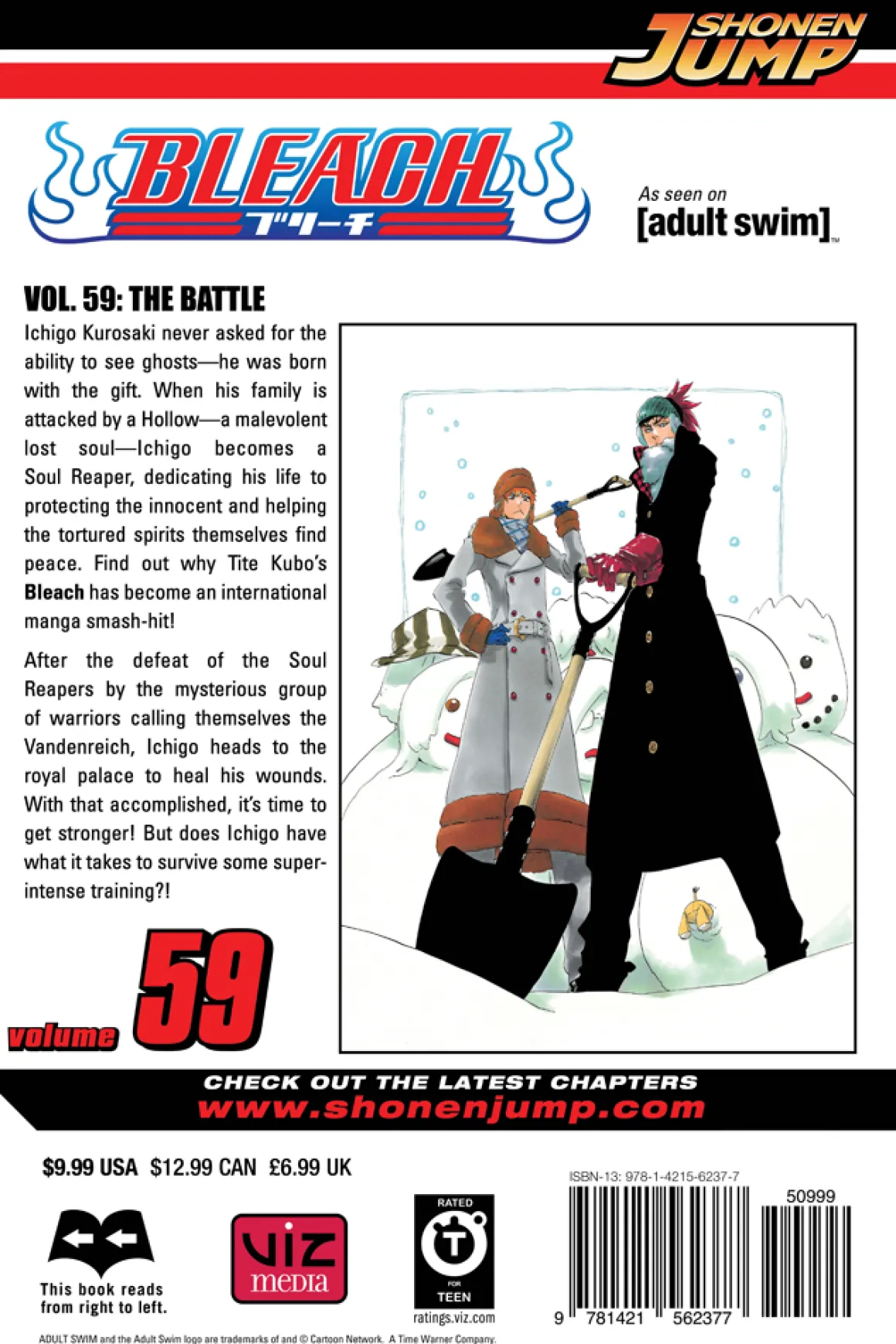 BLEACH Manga Volume 59