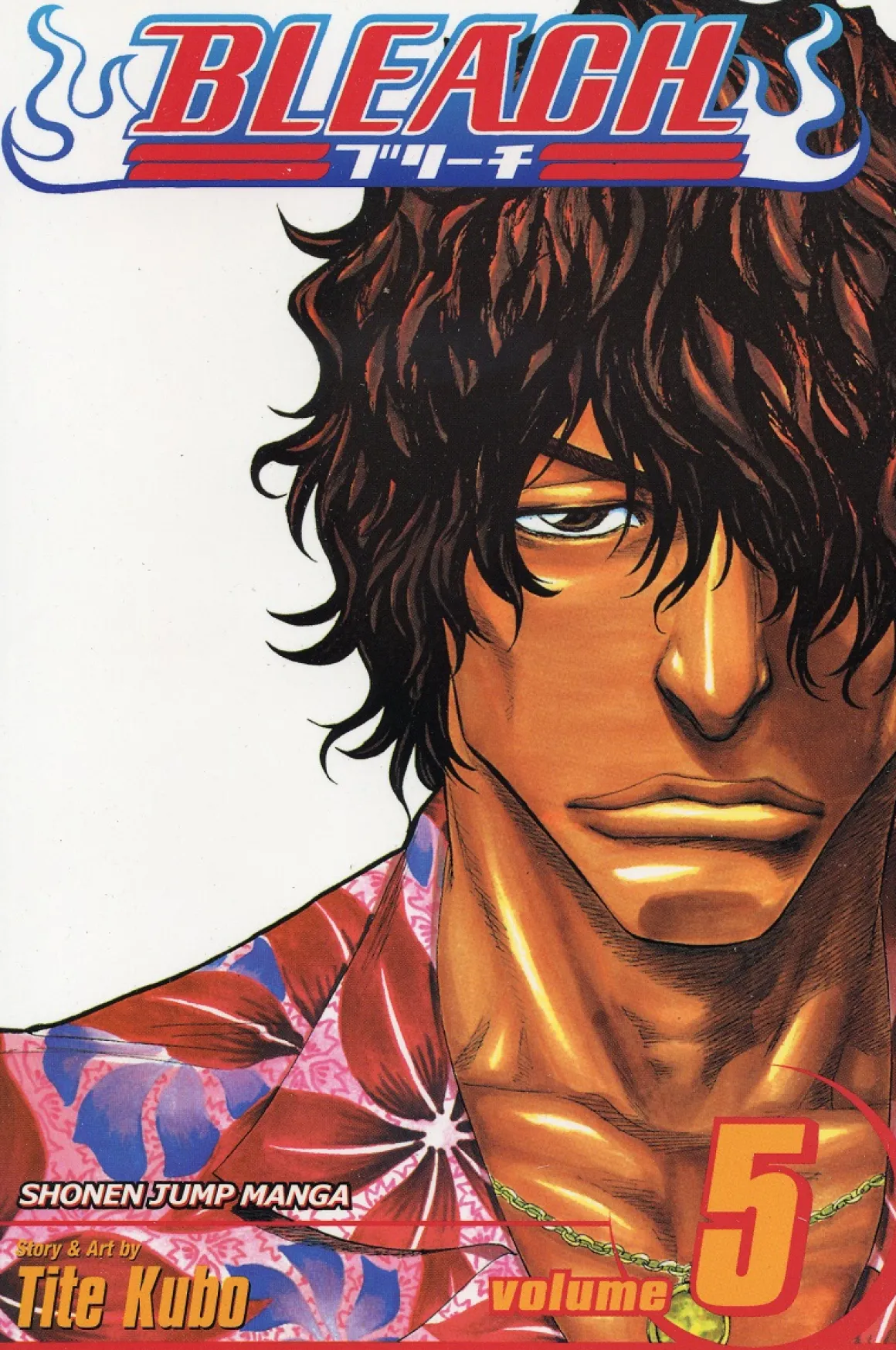 BLEACH Manga Volume 5