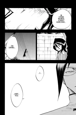 BLEACH Manga Volume 5