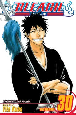 BLEACH Manga Volume 30
