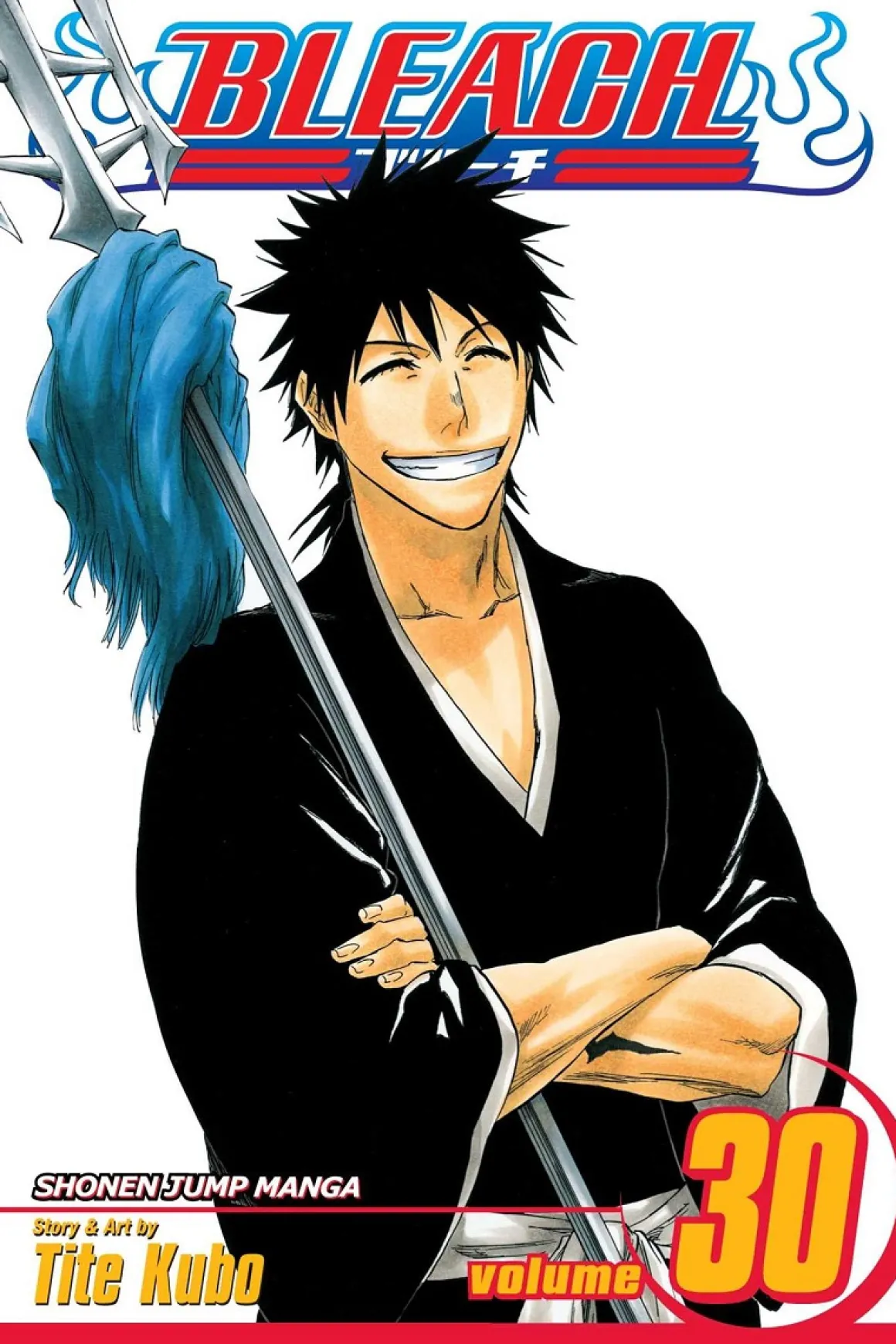 BLEACH Manga Volume 30