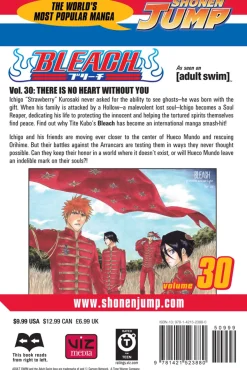 BLEACH Manga Volume 30