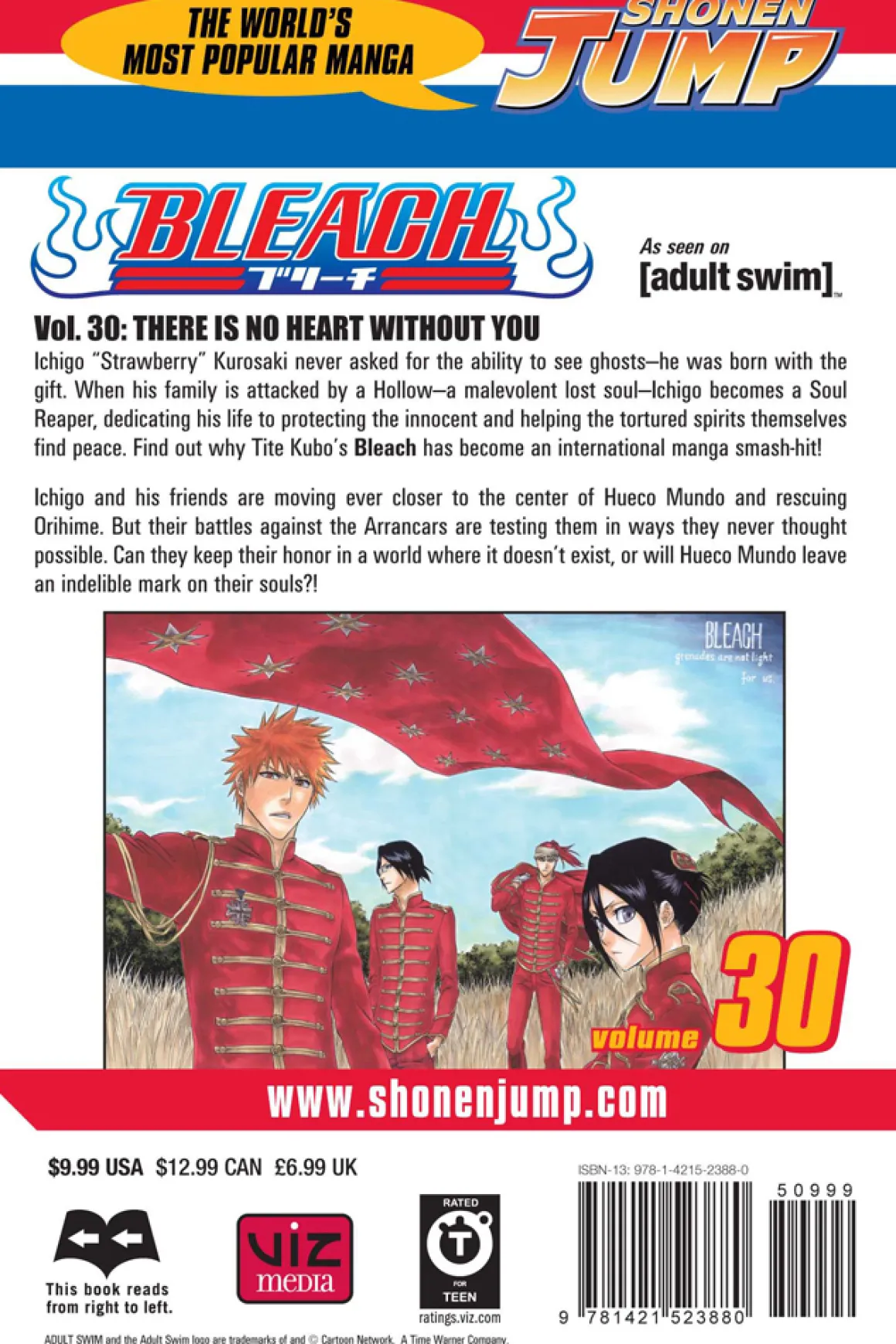 BLEACH Manga Volume 30