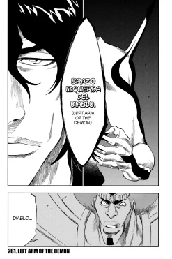 BLEACH Manga Volume 30