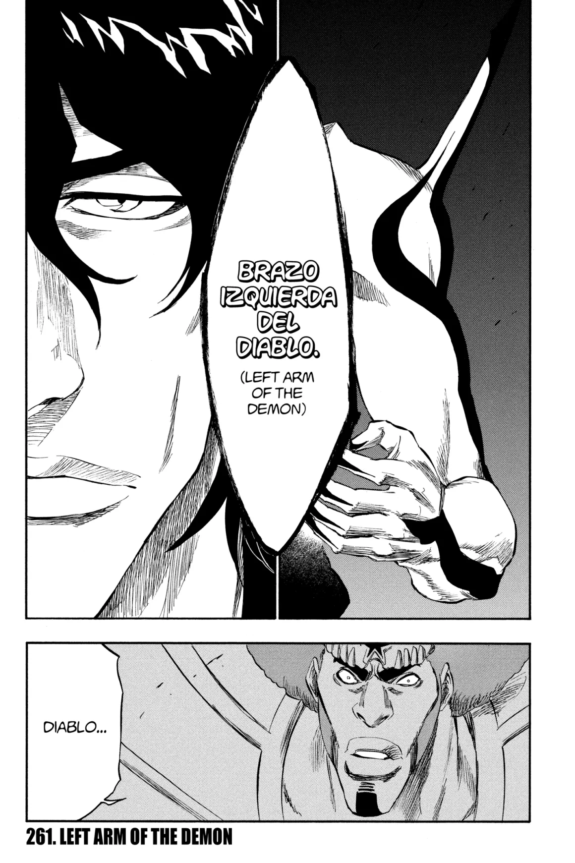 BLEACH Manga Volume 30