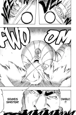 BLEACH Manga Volume 30