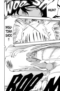 BLEACH Manga Volume 30