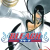 BLEACH Manga Volume 33