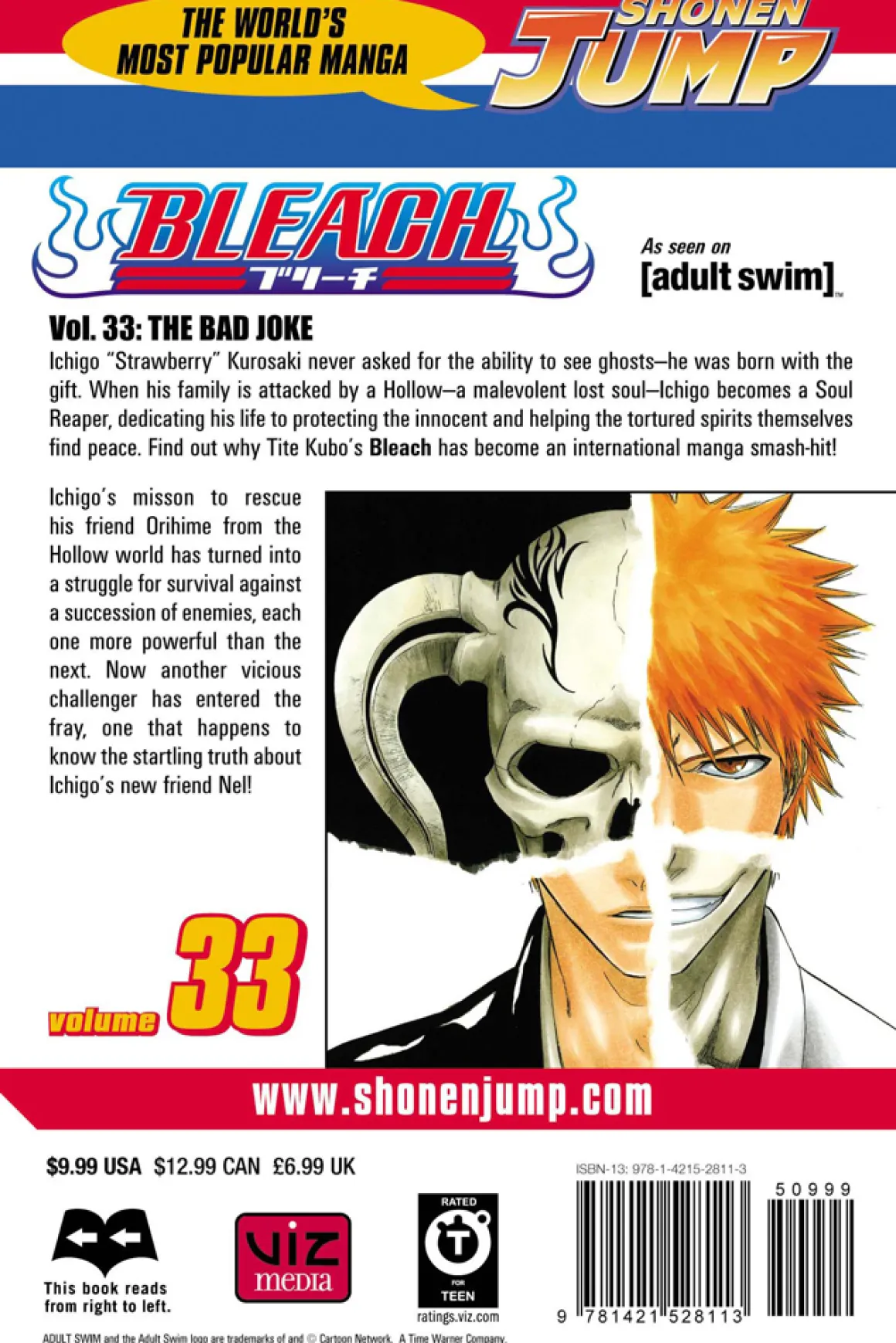 BLEACH Manga Volume 33