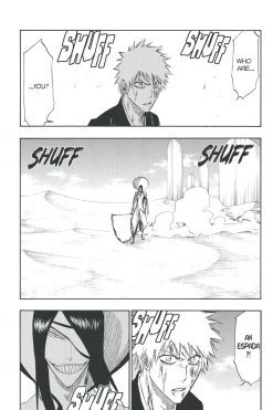 BLEACH Manga Volume 33