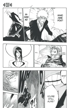 BLEACH Manga Volume 33