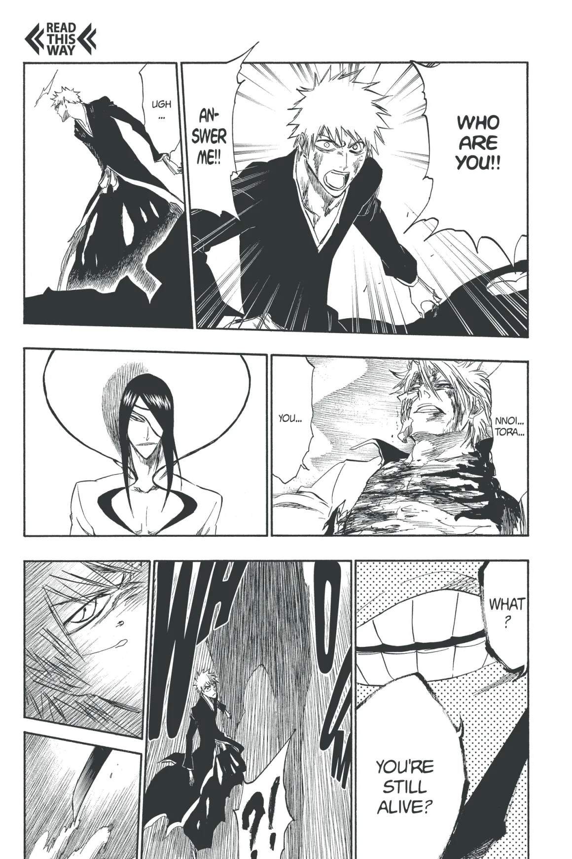 BLEACH Manga Volume 33