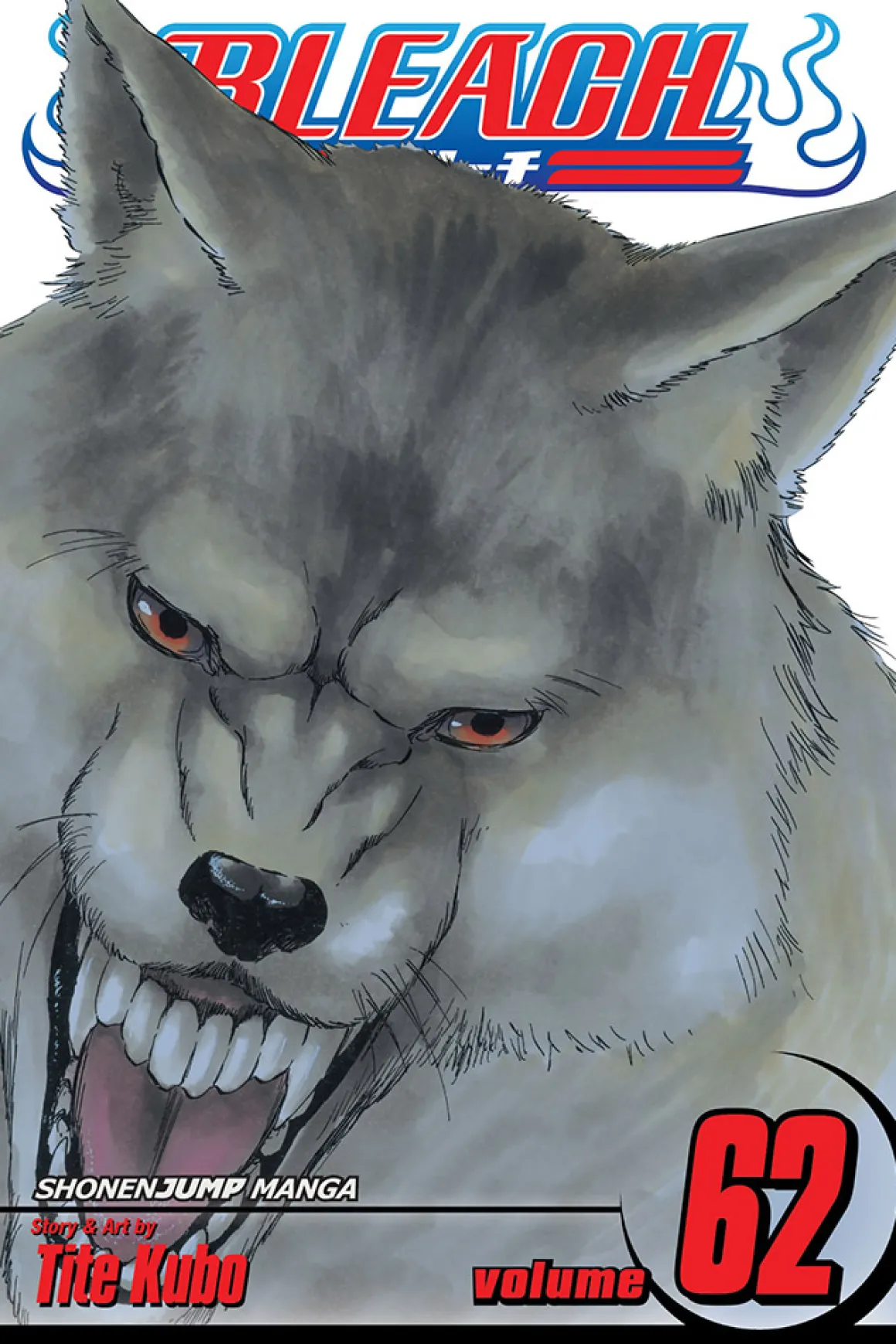 BLEACH Manga Volume 62