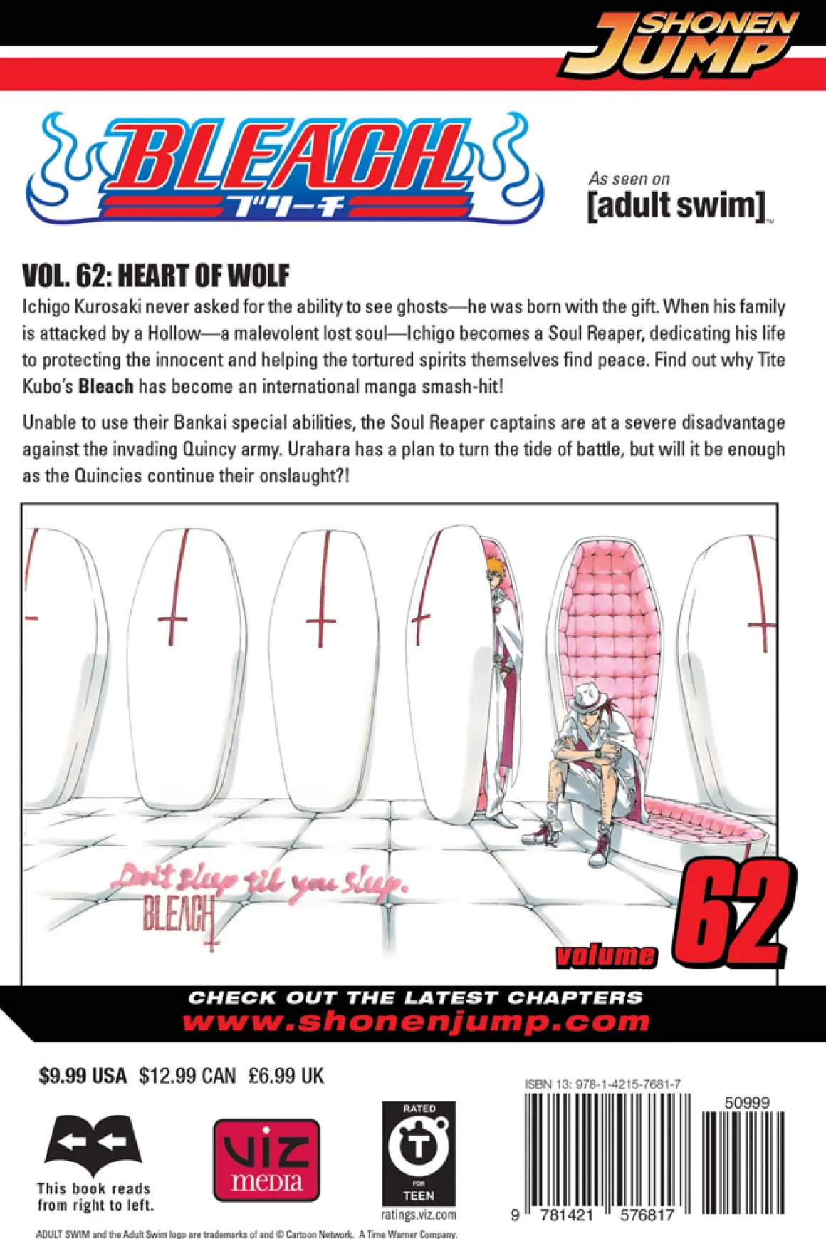 BLEACH Manga Volume 62