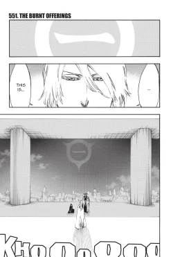 BLEACH Manga Volume 62