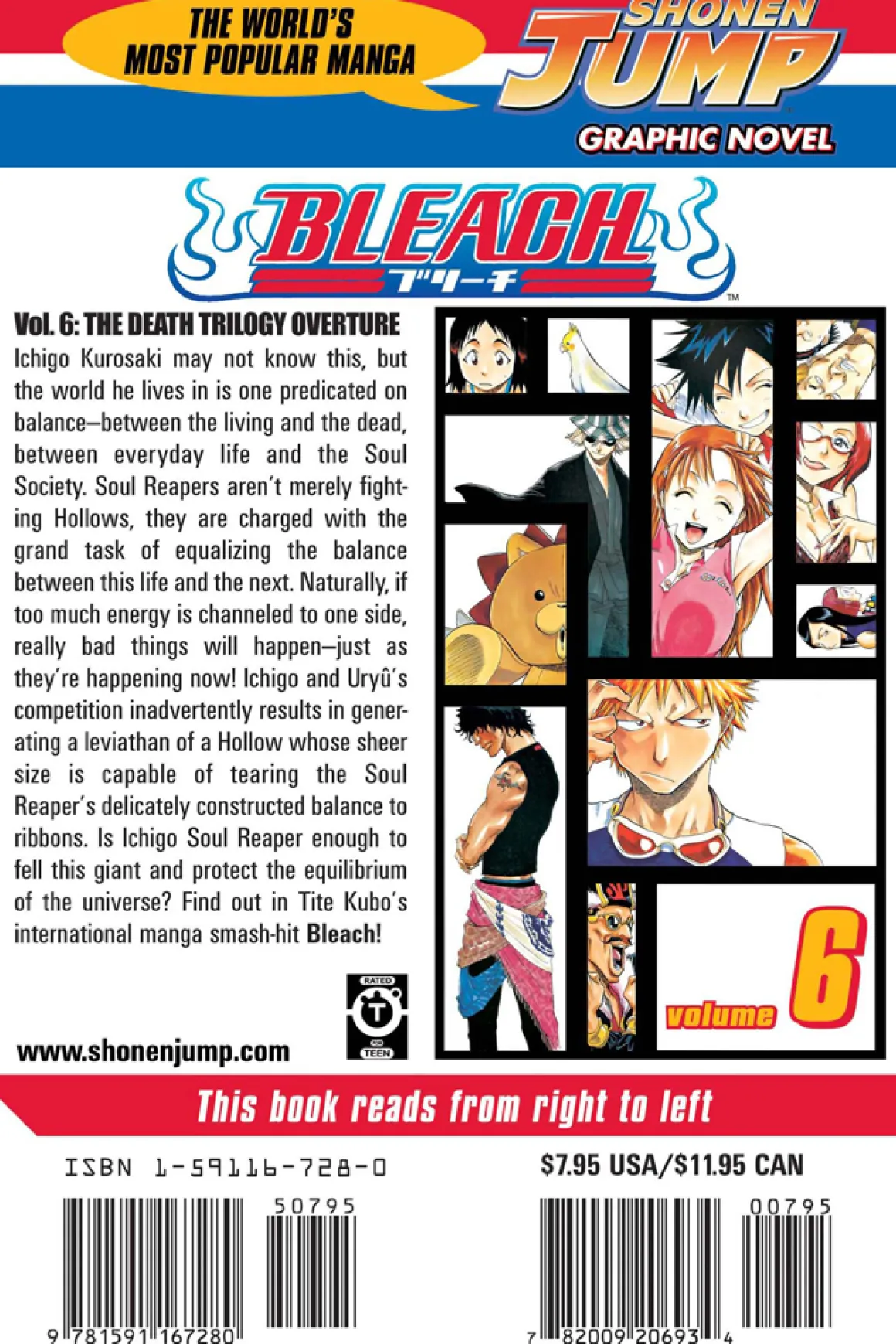 BLEACH Manga Volume 6