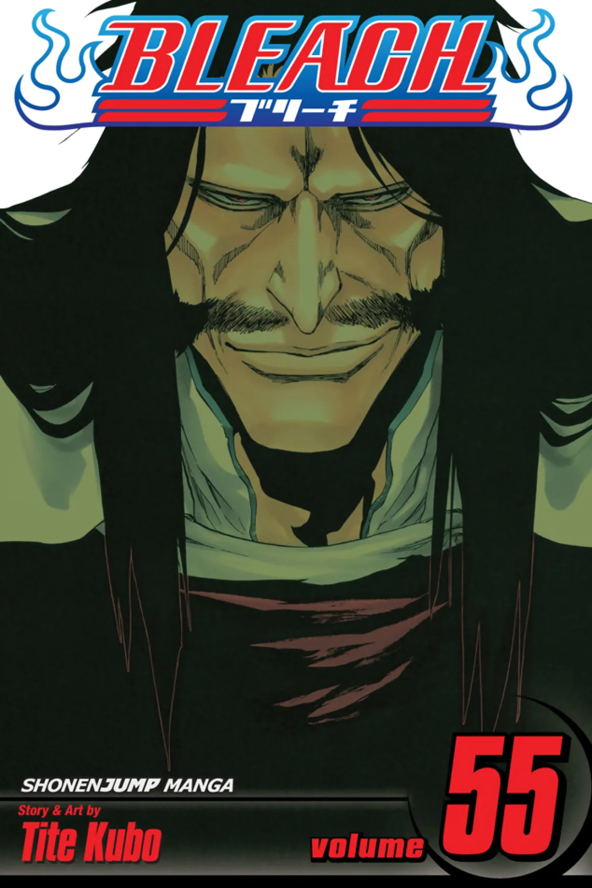 BLEACH Manga Volume 55