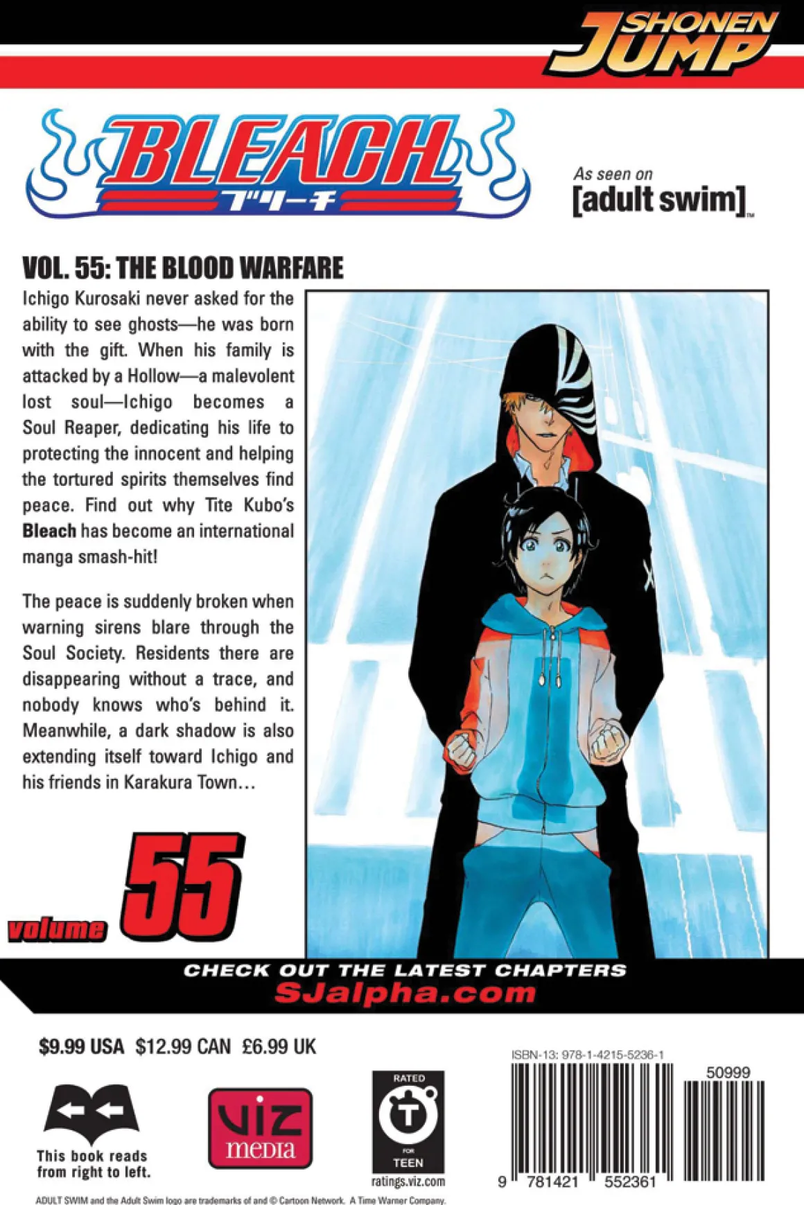 BLEACH Manga Volume 55