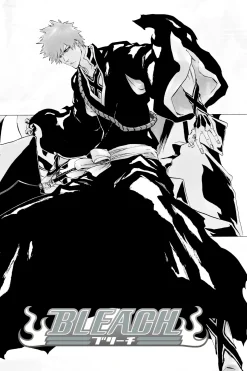 BLEACH Manga Volume 55