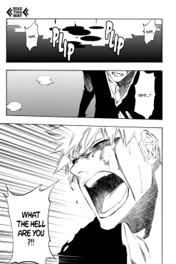 BLEACH Manga Volume 52