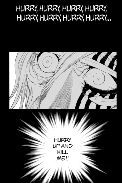 BLEACH Manga Volume 35