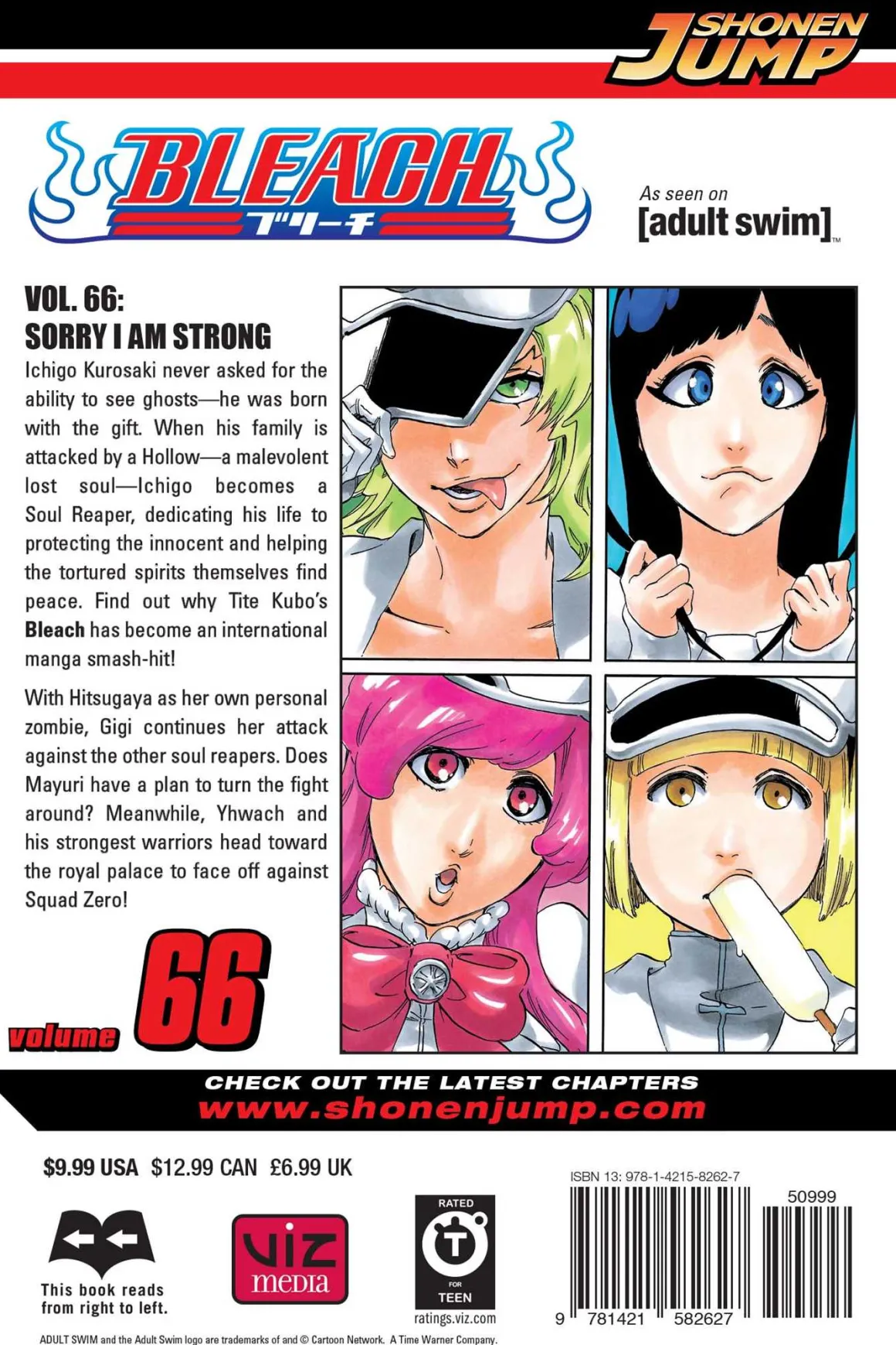 BLEACH Manga Volume 66
