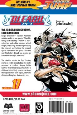 BLEACH Manga Volume 17
