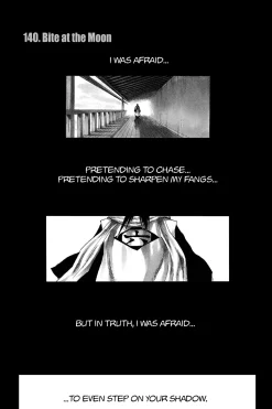 BLEACH Manga Volume 17