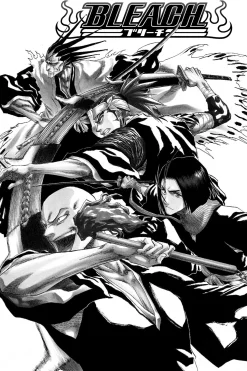 BLEACH Manga Volume 17