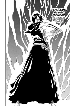 BLEACH Manga Volume 15