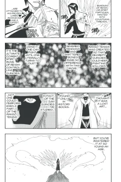 BLEACH Manga Volume 15