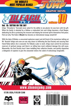 BLEACH Manga Volume 10